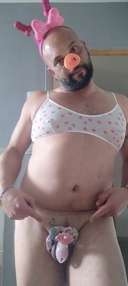 Pathetic Faggot Sissy Piggy Humiliation Cuckold Micropenis Husband