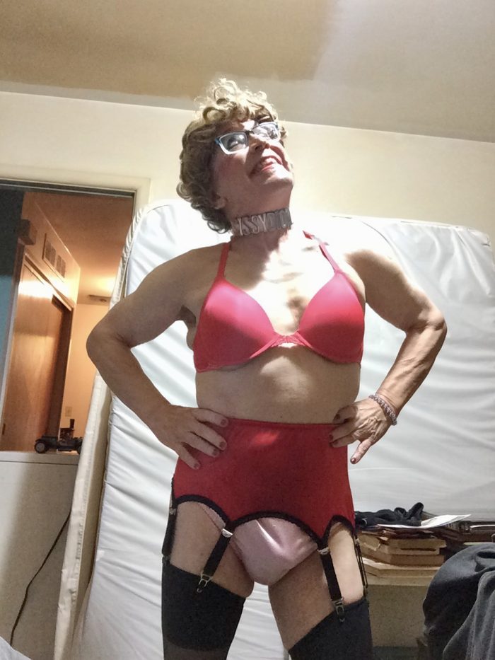 Sissydion, garter belt,hose,and bra