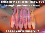 Sissy Meals