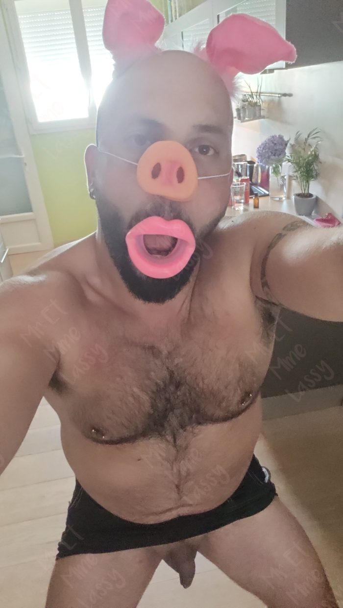 Humiliation Husband Faggot Cuckold Sissy Ridiculous Fag Micropenis French Dildo Pig Piggy Strapon