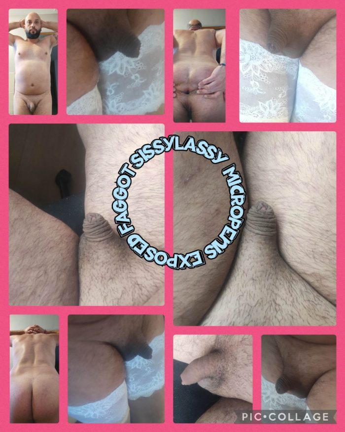 Humiliation Husband Faggot Cuckold Sissy Ridiculous Fag Micropenis French Dildo Pig Piggy Strapon