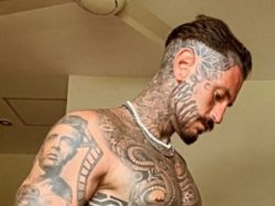 Tattooed up stud with a huge cock humiliating tiny dicks on cam