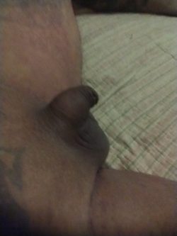 Hi, I’m from Brazil, what do you think of my tiny dick, is it as small as I was told?