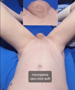 Micropenis zero inch soft