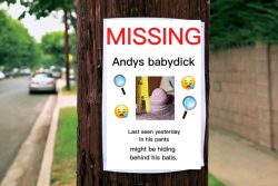 Wife makes Missing poster for husband’s little penis because it’s so easy to lose. 🤣🔎🤭🤏