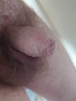 Rate my dick