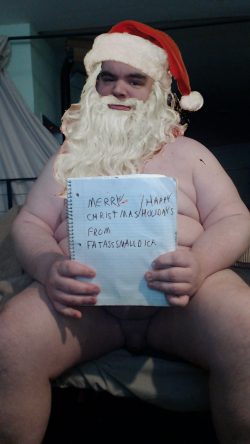 Merry Christmas and Happy Holidays captions from FatAssSmalldick