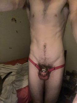 Tiny dick locked in chastity