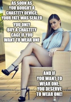 Guys that buy chastity devices deserve to wear one