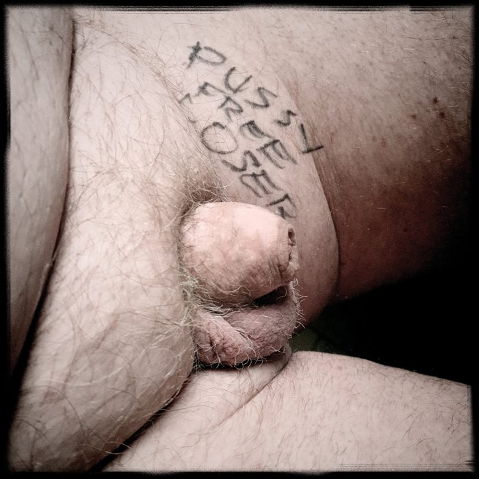 Pussy free loser