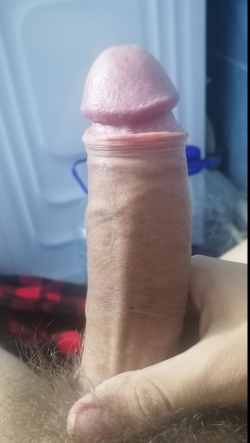 Does anyone think my cock is nice?