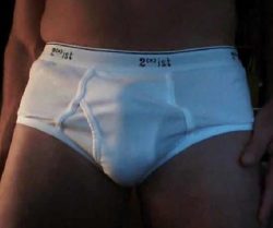 Gay white briefs fetish webcam