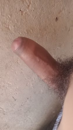 Please rate my penis, be honest.