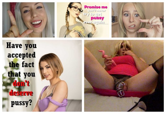 Loser sissy humiliation pics