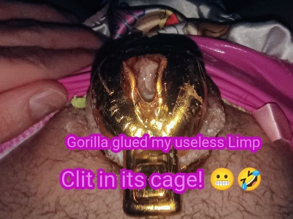 Gorilla 🦍 glued my clitty in its cage!