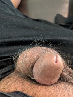 Just pulled my tiny cock out to show everyone