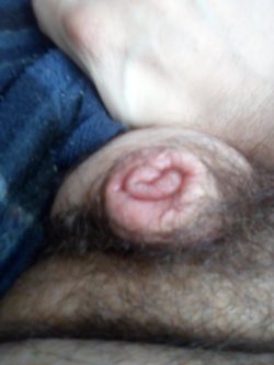 My tiny penis for your laughter and humiliation