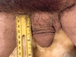 small penis for humiliation